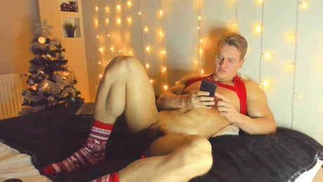 steevemuscle  24-12-2021